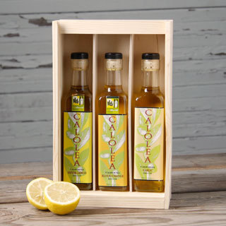 Citrus Infused Olive Oil
